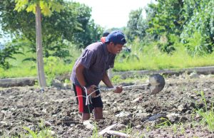 OXFAM: Globalmente Covid-19 Hamosu Hamlaha no Kiak, Fo Impaktu Ba Seguransa Aihan