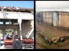 Kondisaun Infraestrutura Eskola Barak Sei Aat, Antonio: Tenke Aloka Orsamentu Boot