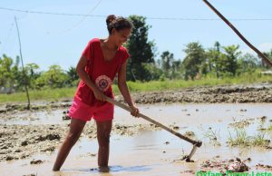 HAK Husu PN Tenke Aprova Osan Liu 3% Ba Agrikultura, Bianco: Governu Uza Rai Abandonadu Sai Produtivu