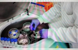 MS Sei Hein Rezultadu Teste Genomic Corona B117 Total 70 Resin Hosi Melbourne