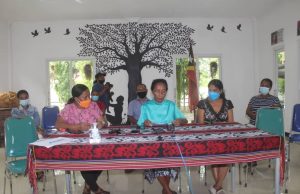 TL Votu Abstain Ba Myanmar, FOKUPERS Konsidera MNEK Trai Konstituisaun RDTL