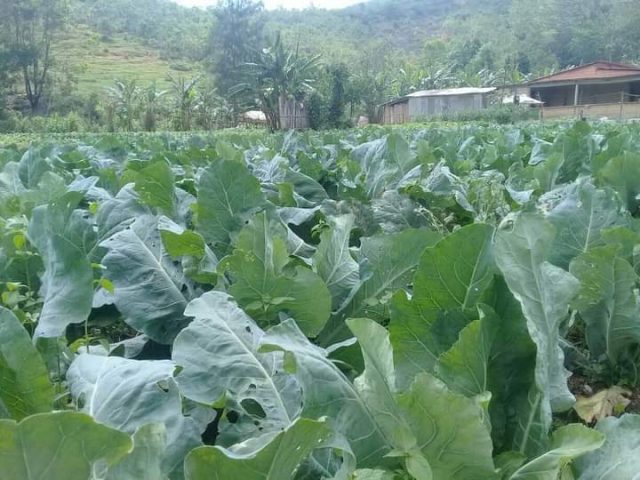 WhatsApp Image 2021-10-19 at 17.53.40