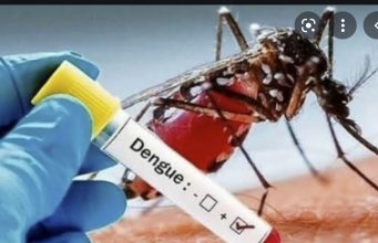 20 Janeiru, MS Kontinua Rejista Kazu Dengue Total 647 no Obitu Sae Ba 14
