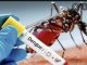 Kazu Dengue Kontinua Sae Ba 593, Kazu Obitu nain 10, Maioria Iha Dili