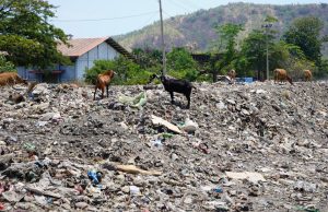Postu Saude Tibar Rejista Moras Ispa 2399 no Diarreia nain 273, Miranda: Ha’u Hetan Me’ar Ran Tanba Lixu Tibar