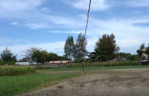 Alargamentu Merkadu Manleuana, Hamosu Konfuzaun Ba Rai Nain, Adelino: Rai Eransa Husi Avo Sira