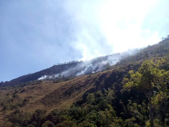 WhatsApp Image 2024-10-10 at 11.06.08