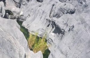 Autoridade Lokál Husu Vizitante Sira Vizita Fatin Turizmu Bee Matan Dadil iha Catrai-Craik Labele Hariis no So’e Foer