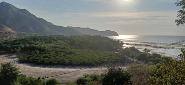 WhatsApp Image 2025-10-23 at 13.26.12