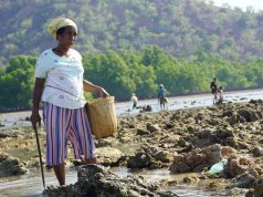 How a Sacred Custom Is Saving Timor-Leste’s Coral Reefs, How Atapupu Indonesia Continues to Protect Coral Reefs?