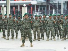 Governu Kansela Forsa Tarefa Kontijente Ba Apoiu Umanitariu Iha Filipina, Filipina Sira Presiza Maka Material