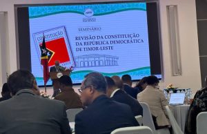 Revizaun Kontituisaun: Intrepretasaun Lei Nomeisaun PTR, Formasaun Governu no Dizolusaun Governu
