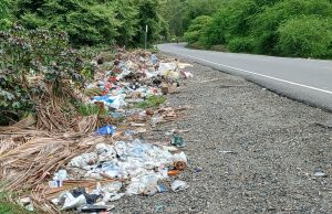 Hera Rai-henek Mutin Sai Fatin-lixu, Besik Area Protejidu Ai-Parapa