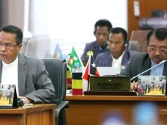 FRETILIN Husu Governu Kontinua Estudu ba Enerjia Renovavel Solar Panel iha Laleia no Enerjia Elóica iha Larigutu no Oeleo