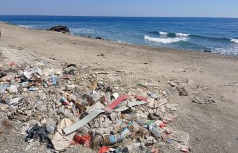 Lixu Plástiku Ameasa Ikan Sira iha Tasi, no Impaktu ba Saúde Publika Wainhira Konsumu Ikan Ne’ebé Kontaminadu
